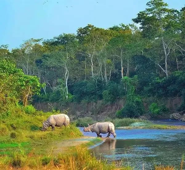 Adventure Tour in Nepal