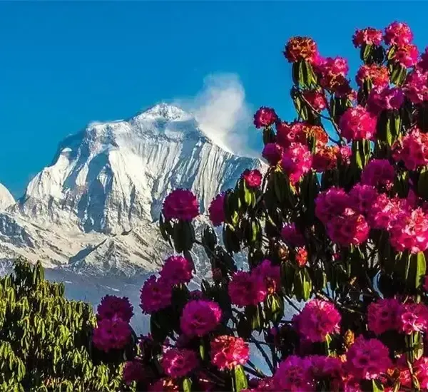 Ghorepani