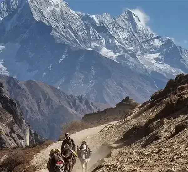 Everest Base Camp Trek