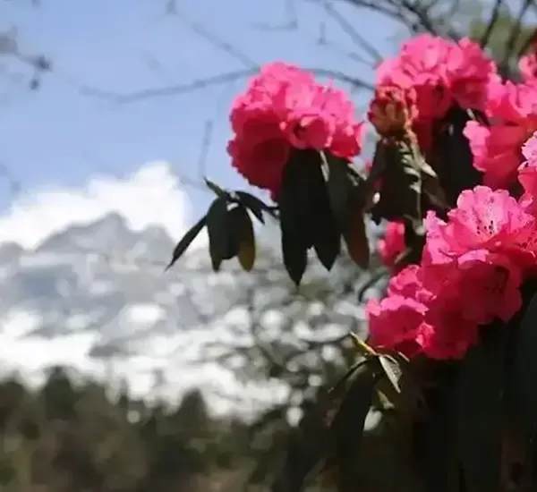 Trekking in Nepal in April