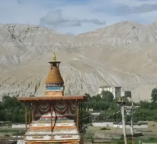 Mustang Trek