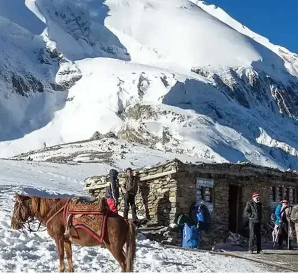 Nepal Tea House