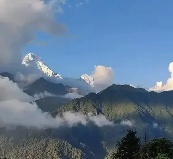 Poonhill