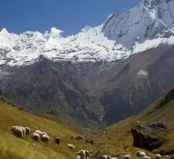 Trekking in Nepal