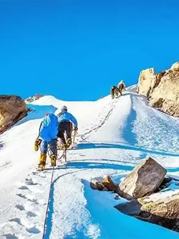 Expeditions