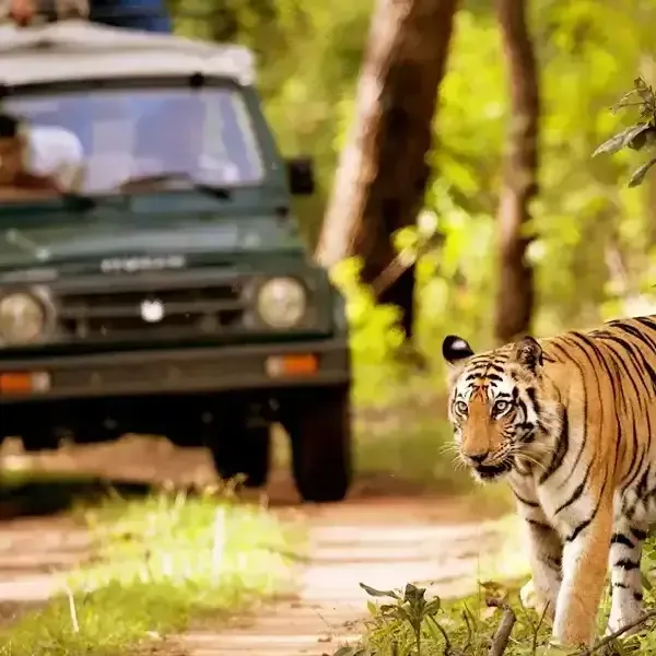 Chitwan tour
