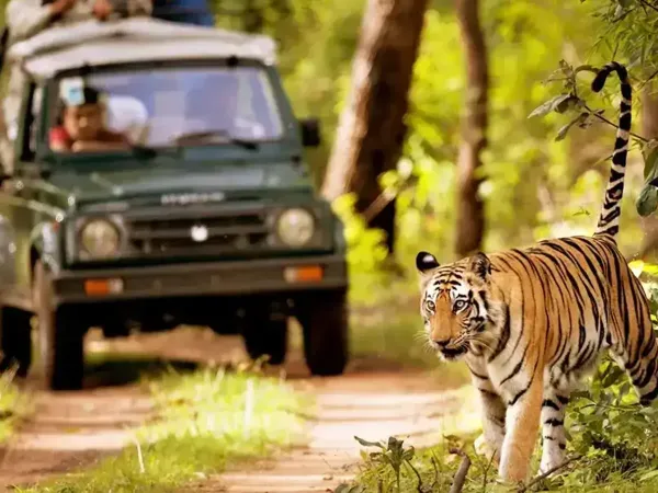 Chitwan1