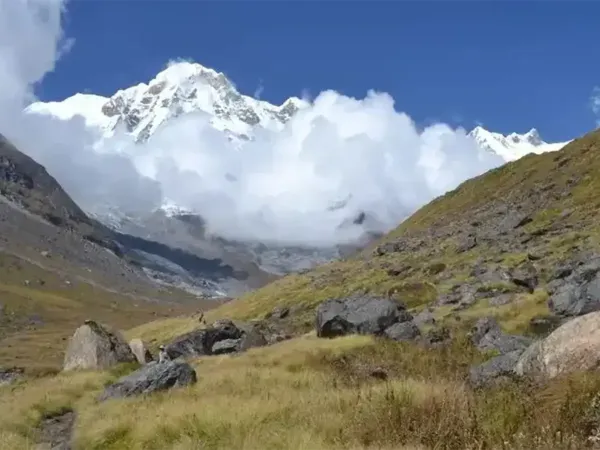 Mardi Poonhil Banner