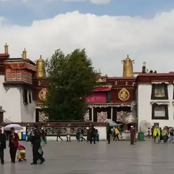 Shangrila Tour To Tibet