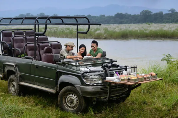 Jungle Safari