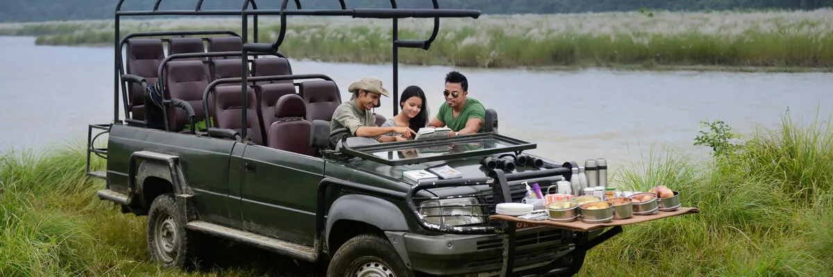 Jungle Safari